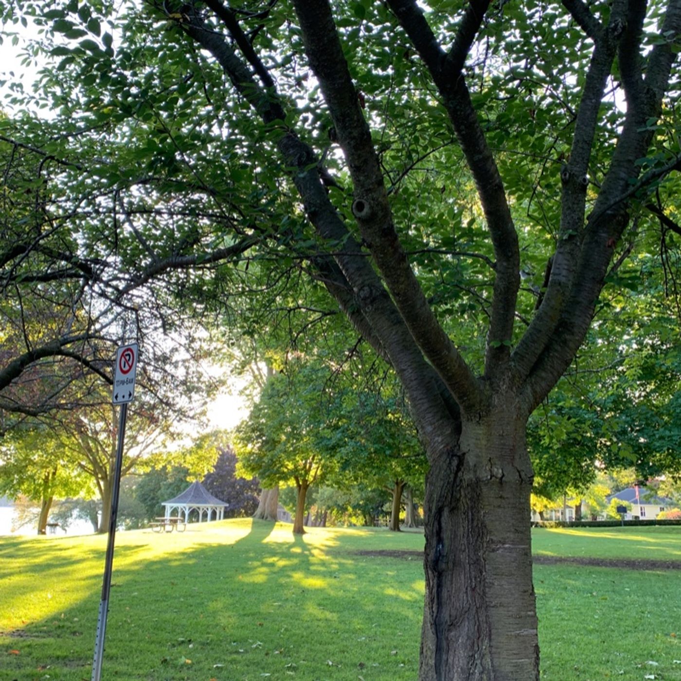 Prayer on the Go! - with Bishop Deb