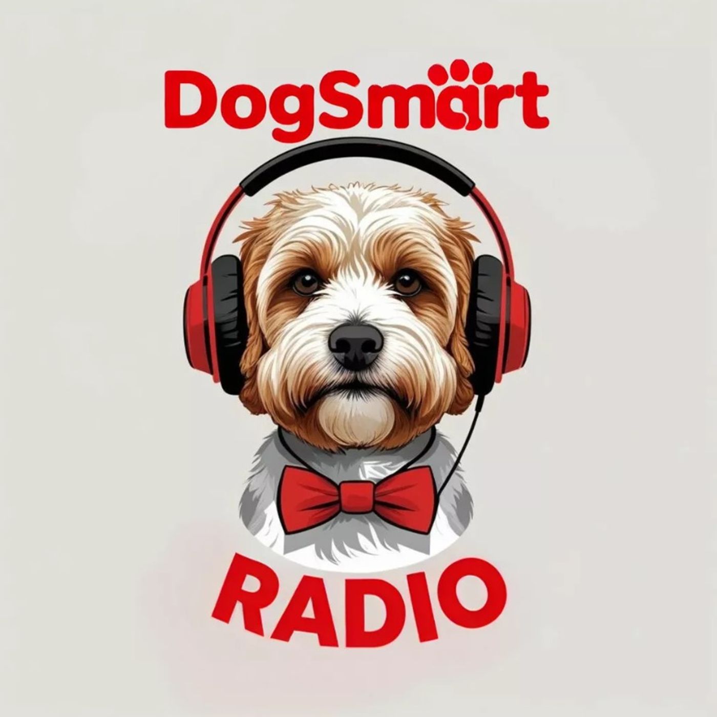 DogSmart RADIO podcast artwork