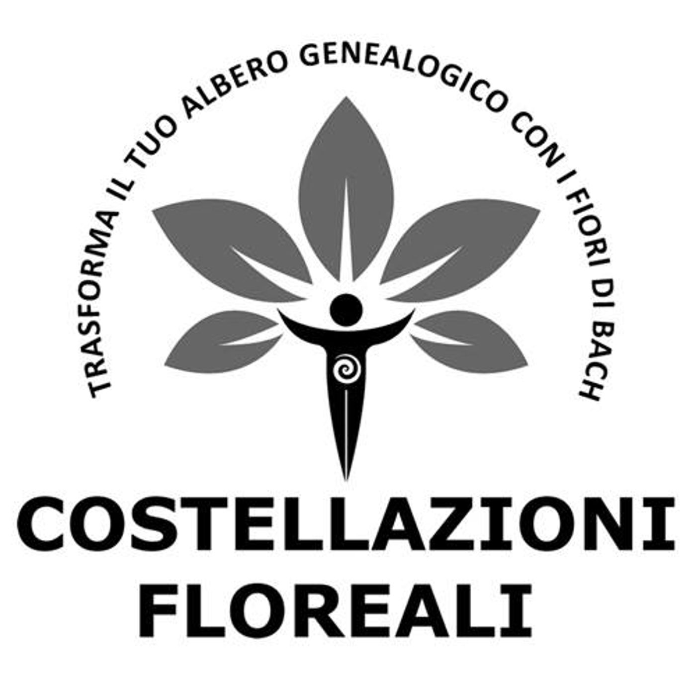 Visione Alchemica