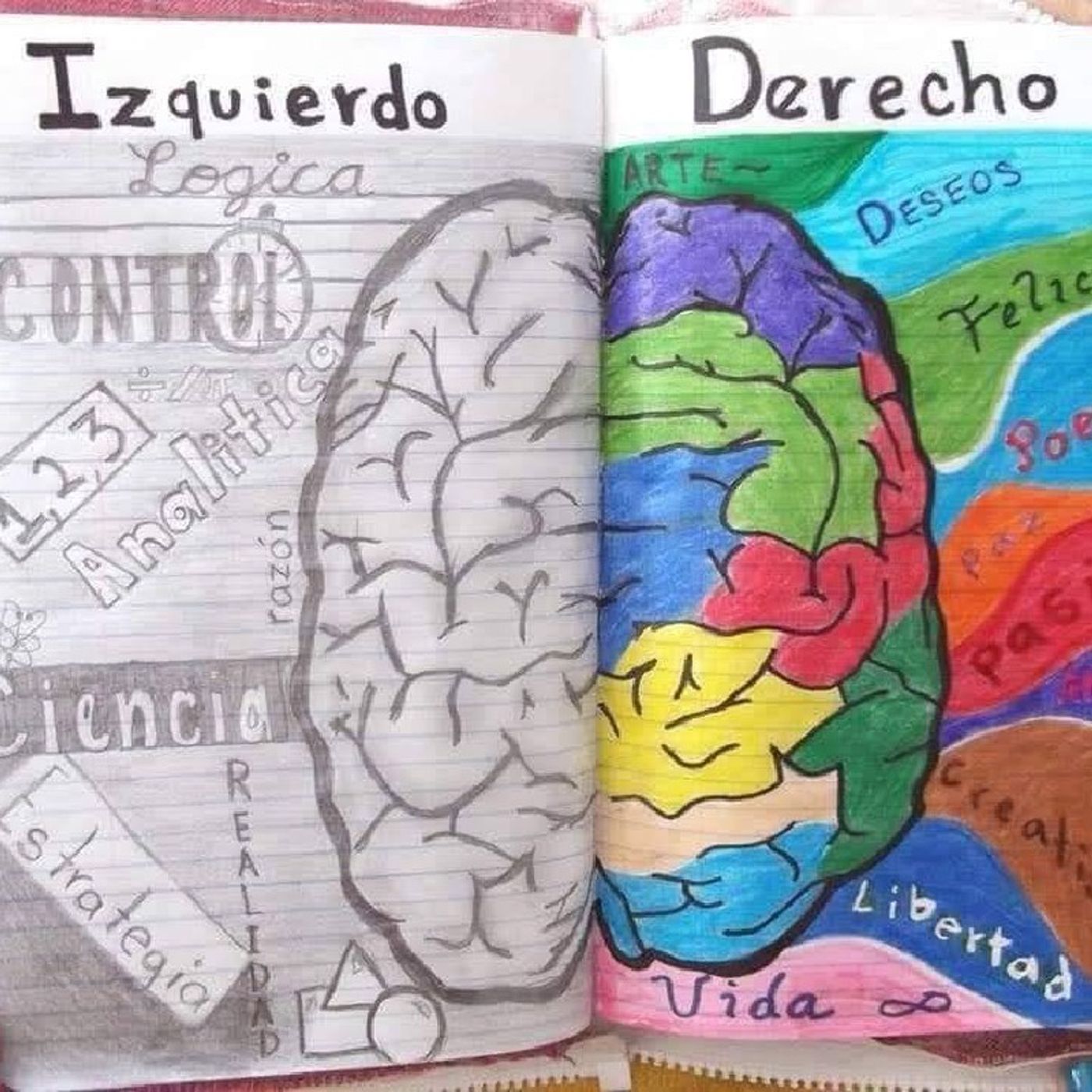La educación no es escrita, es acción.