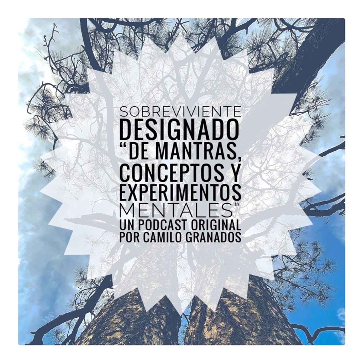 Sobreviviente Designado