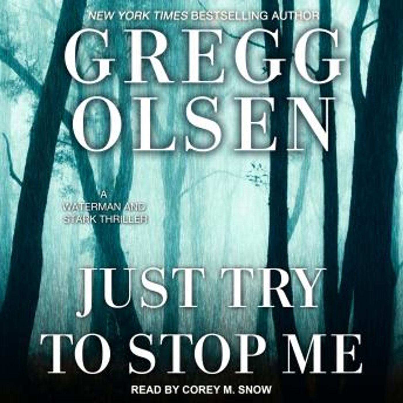 Best Audio Stories in Mystery, Thriller & Horror, Police & Detective