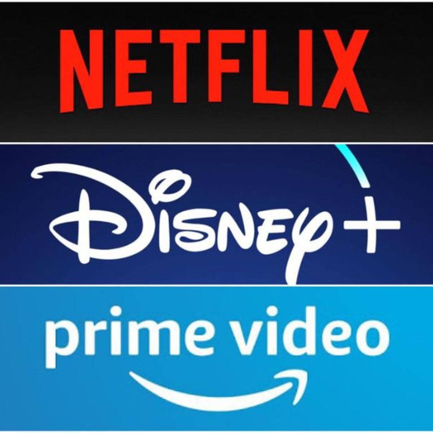 Punto di Vista la TV per una Non Vedente