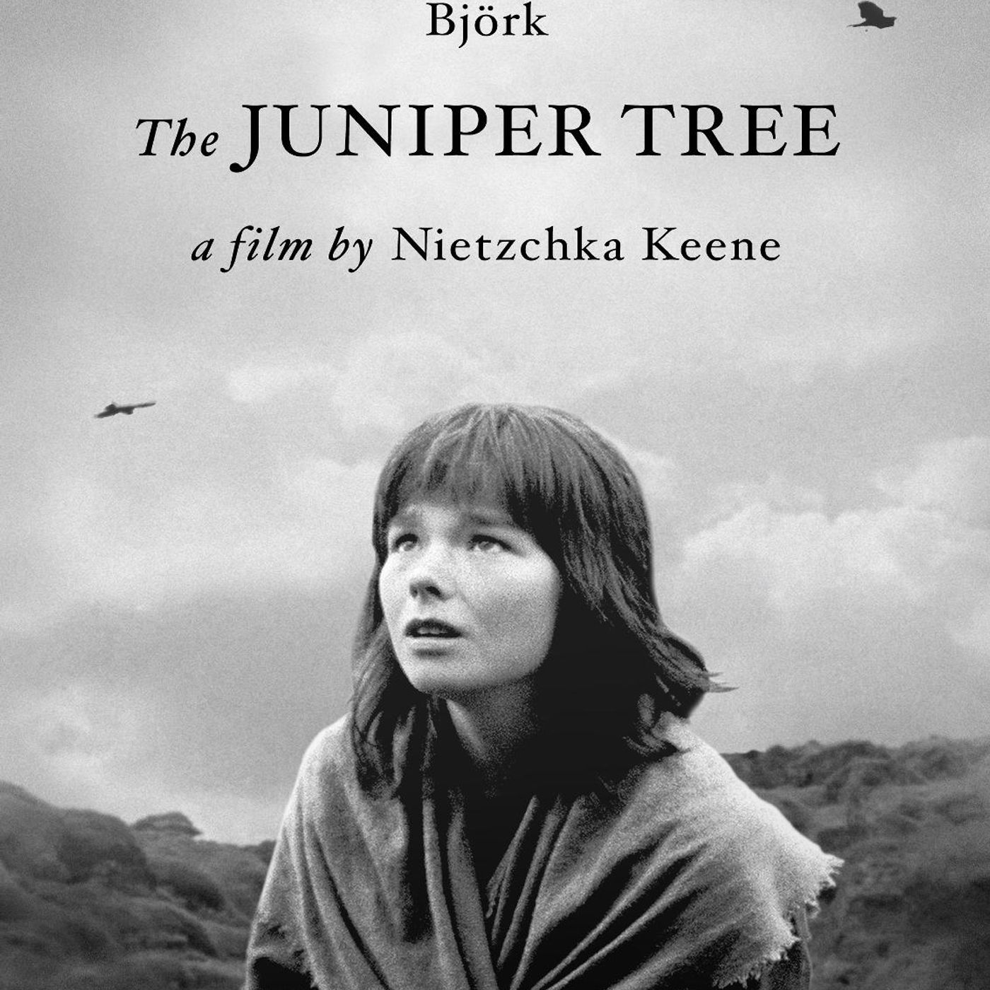 Invunche: Cine Perplejo