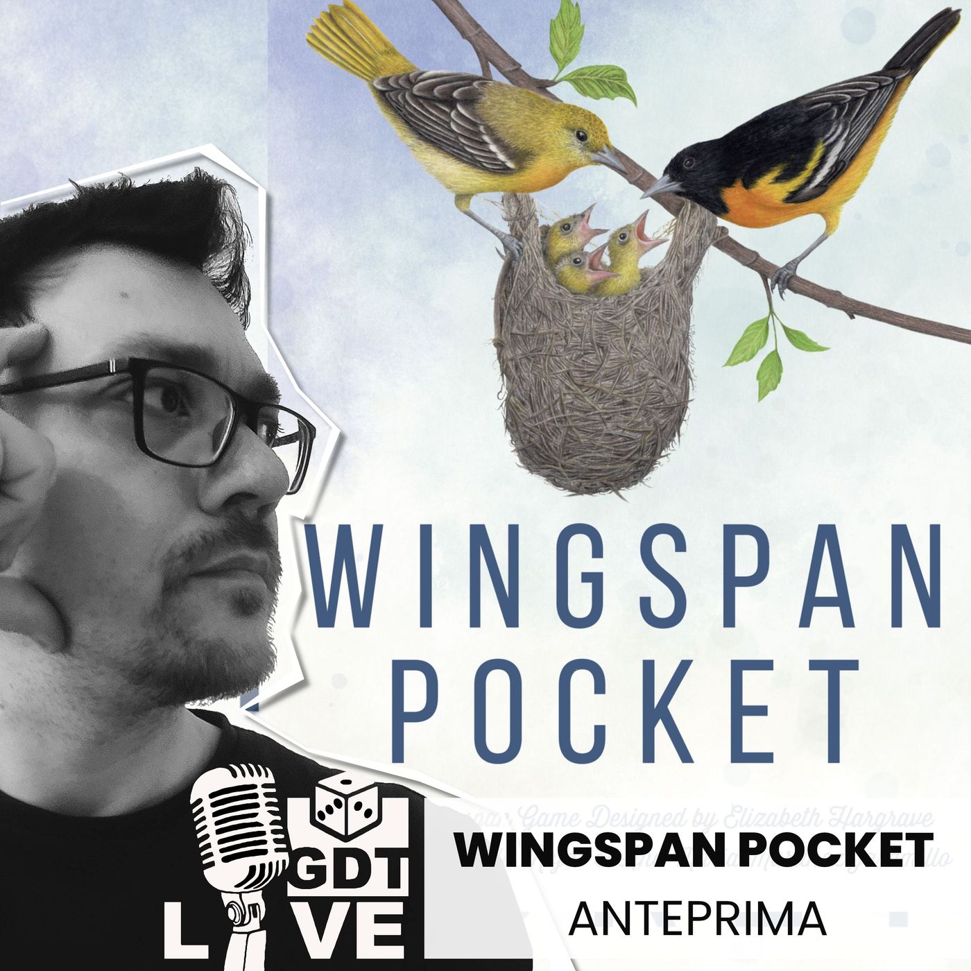 Wingspan Pocket: Stonemaier sgancia una nuova hit? Scopriamo insieme tutto quello che si sa su questo nuovo spin off di Wingspan!