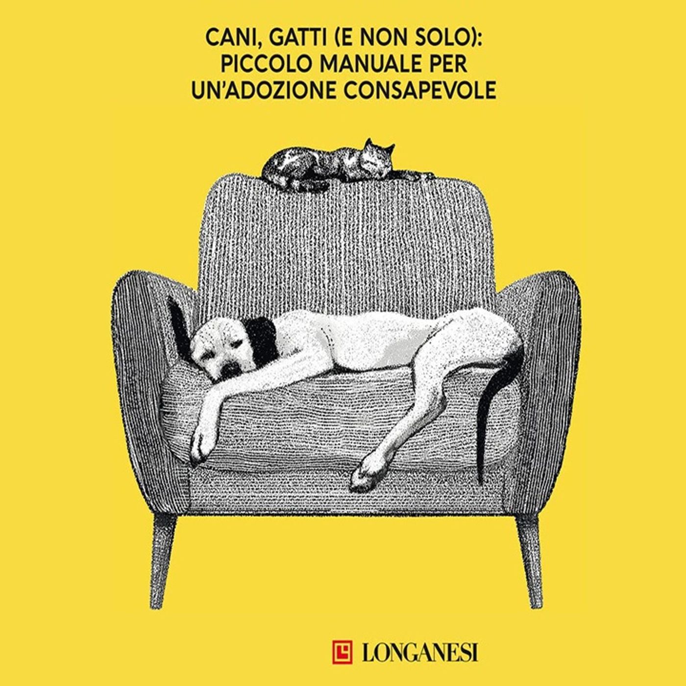 Monica Pais: decidersi per un cane, un gatto o un canarino ma prima di adottare un animale, noi quanto possiamo dare a lui?