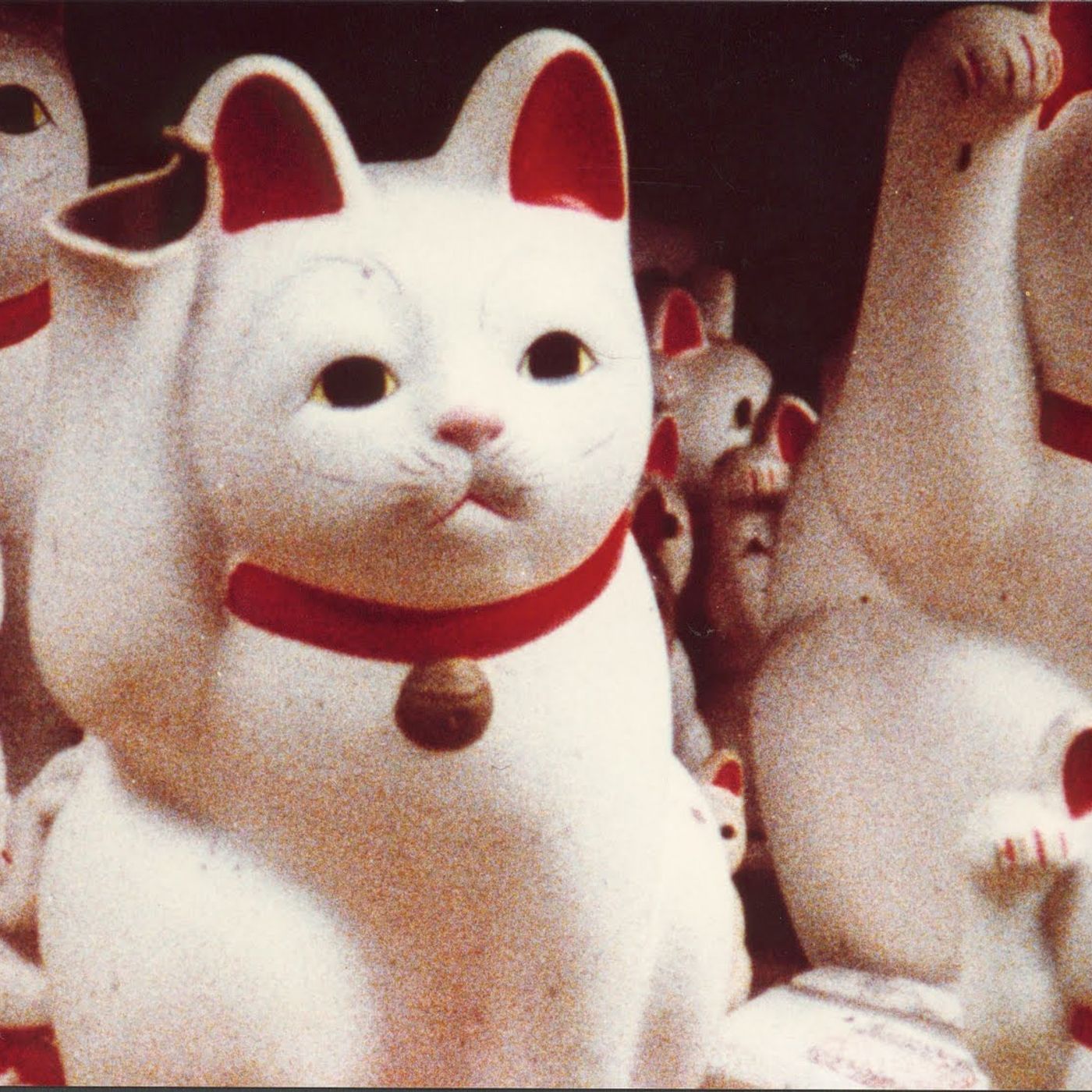 Invunche: Cine Perplejo