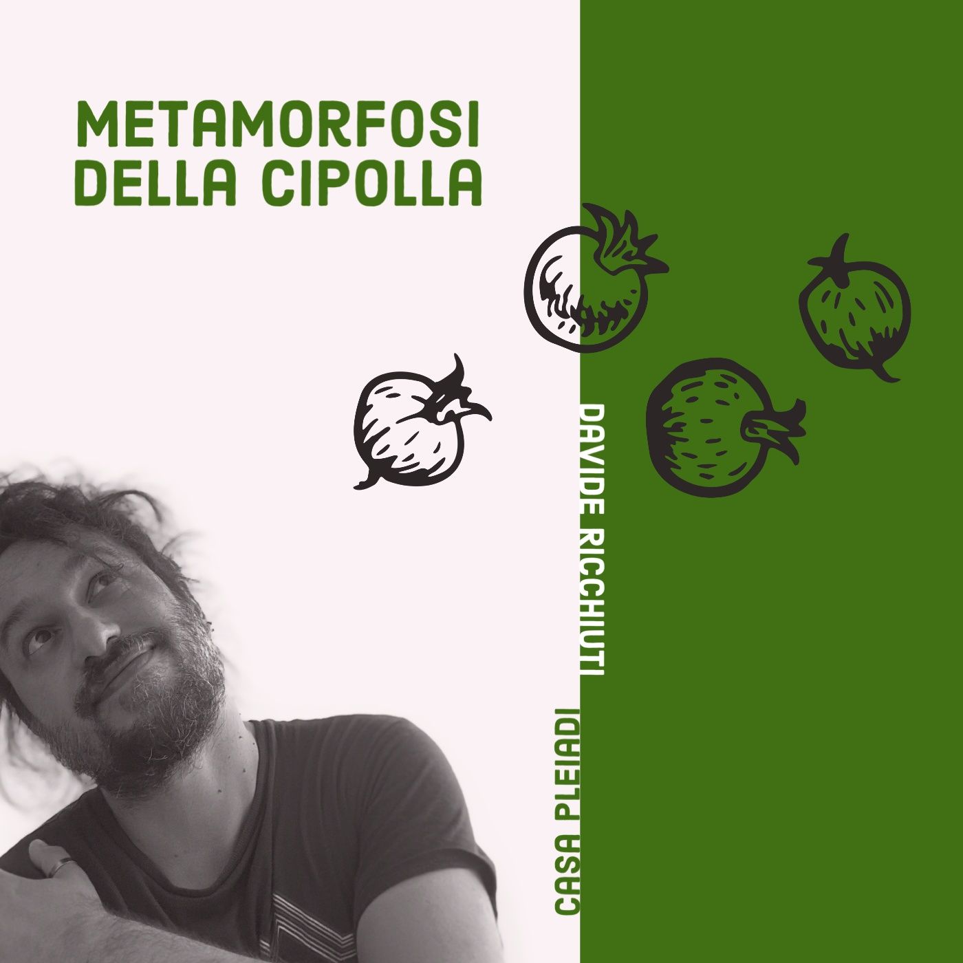 Metamorfosi della Cipolla