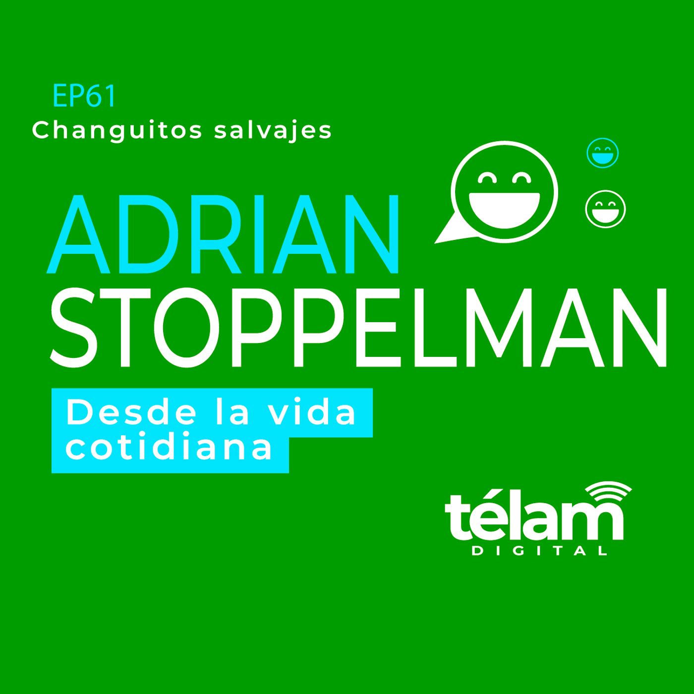 Desde la vida cotidiana