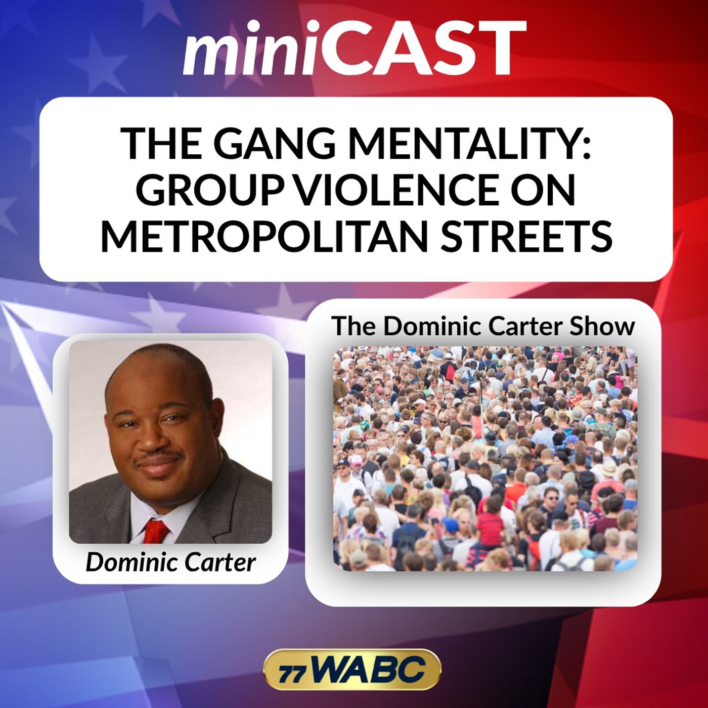 Dominic Carter: The Gang Mentality: Group Violence On Metropolitan Streets episode artwork