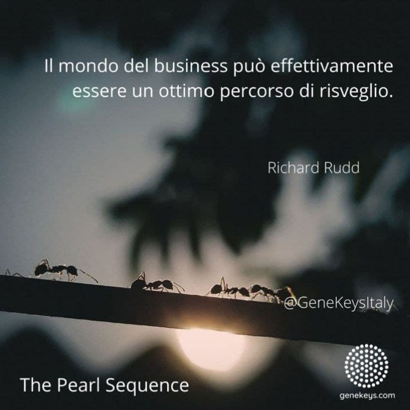 Chiave Genetica 28 con Maria Teresa Frezet Chiave Genetica 28 con Maria Teresa Frezet