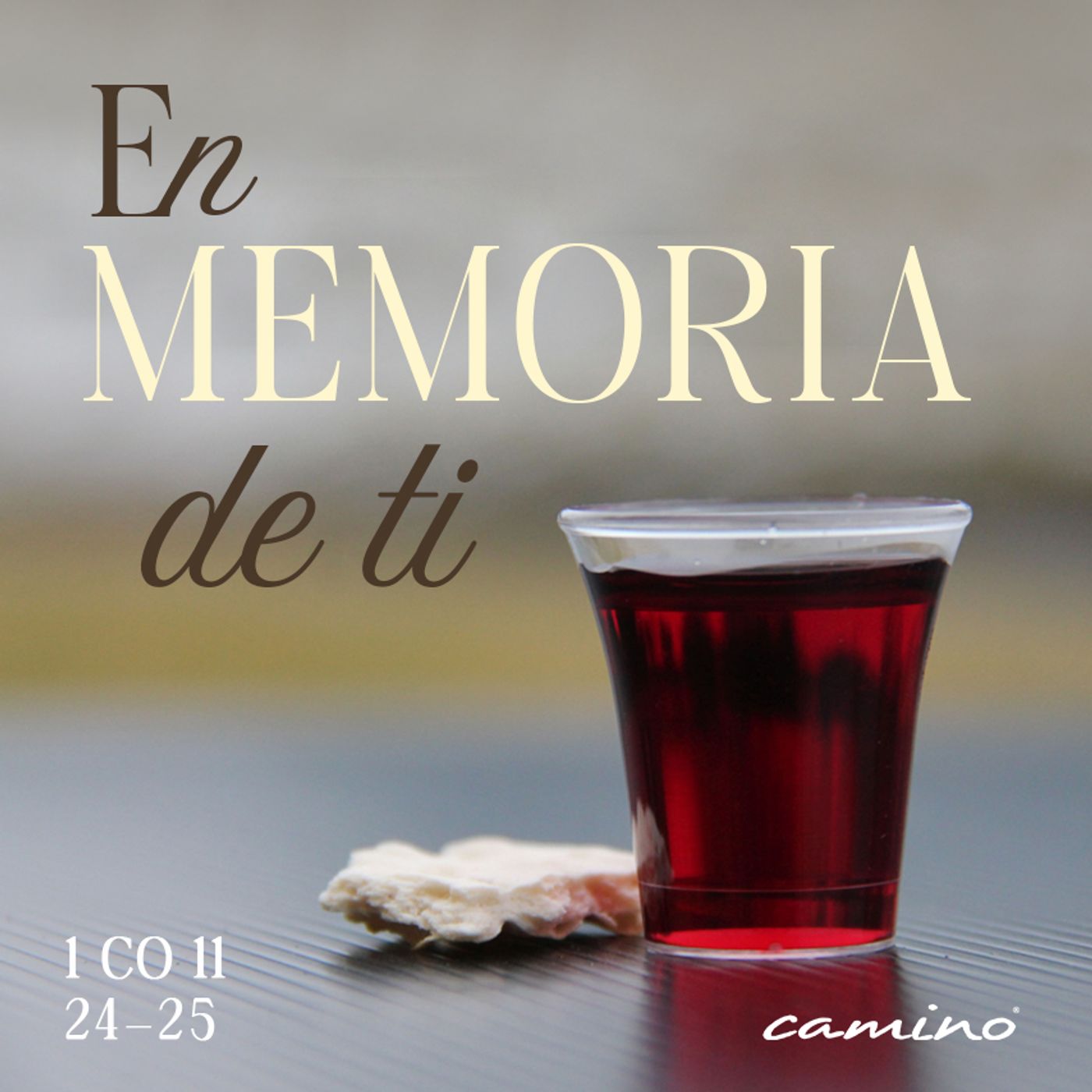 Oración 8 de abril (En memoria de ti) episode artwork