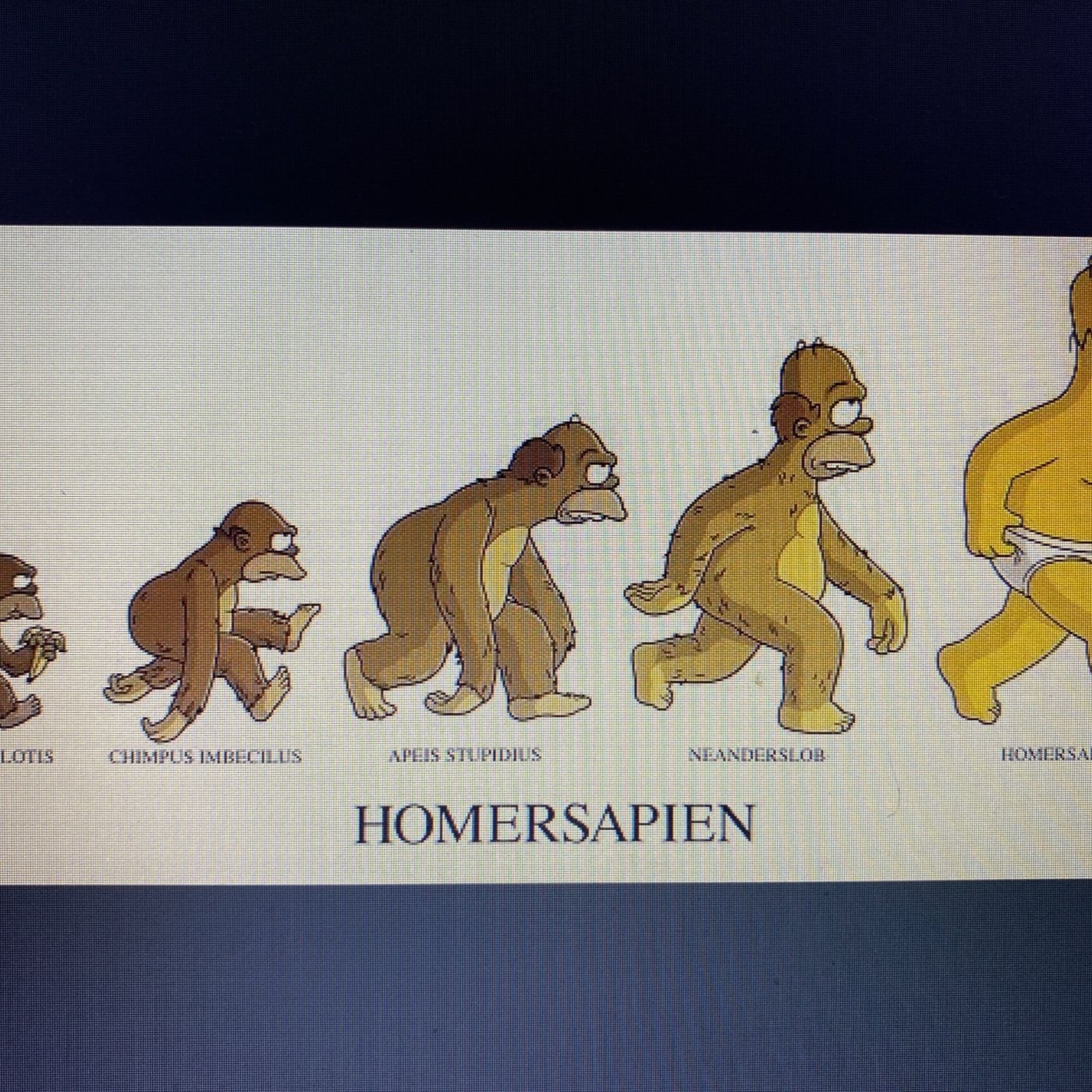 Podcast Sobre Evolución :)