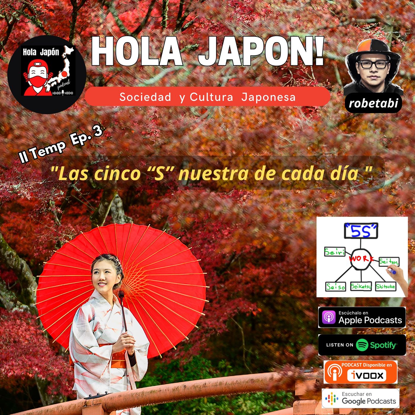 Las cinco "S" nuestra de cada día episode artwork
