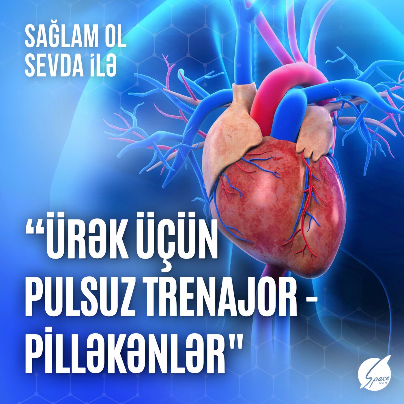 Sağlam ol Sevda ilə