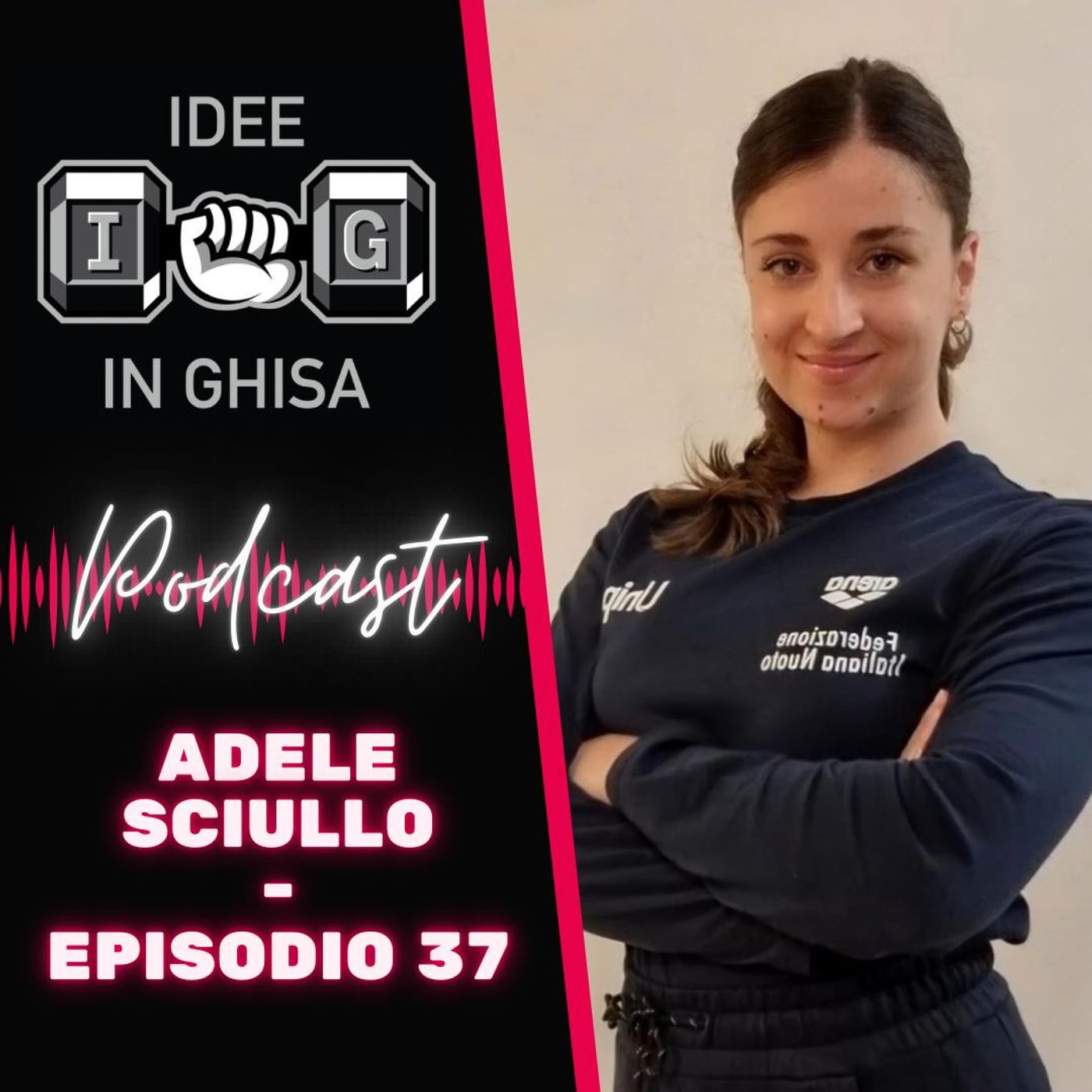 IDEE in GHISA