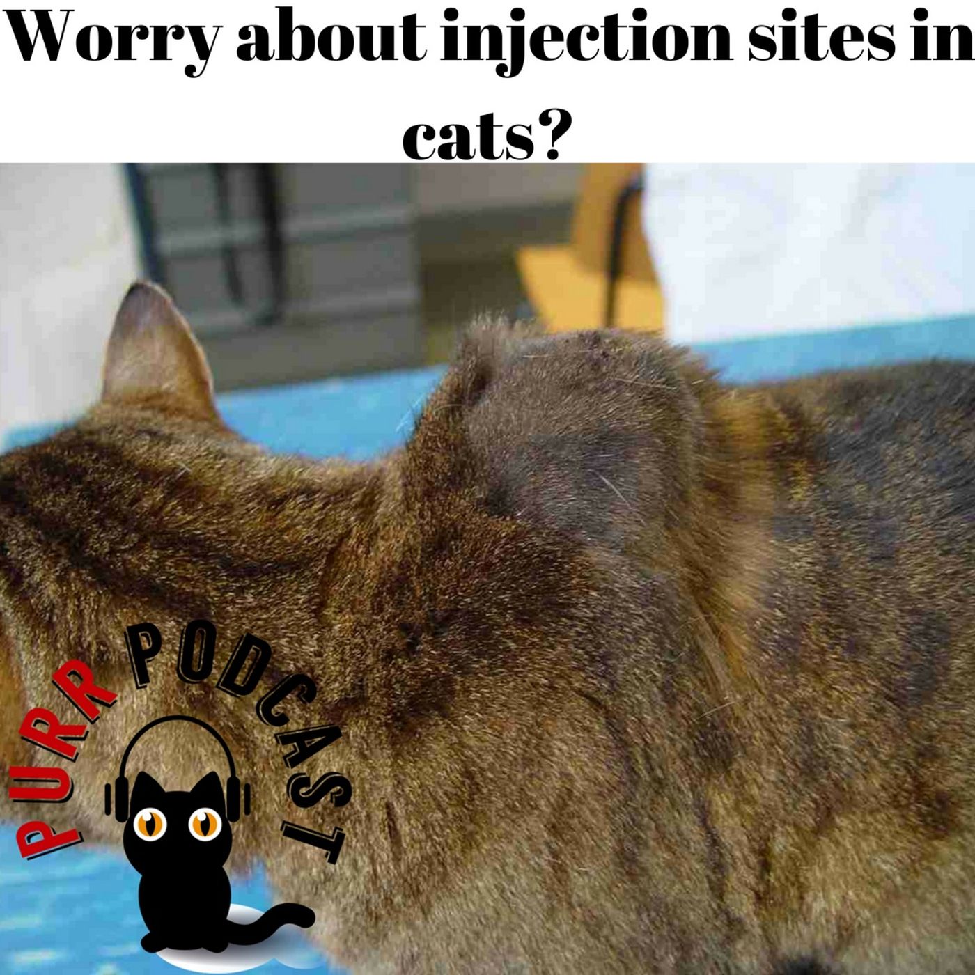 Purr Podcast
