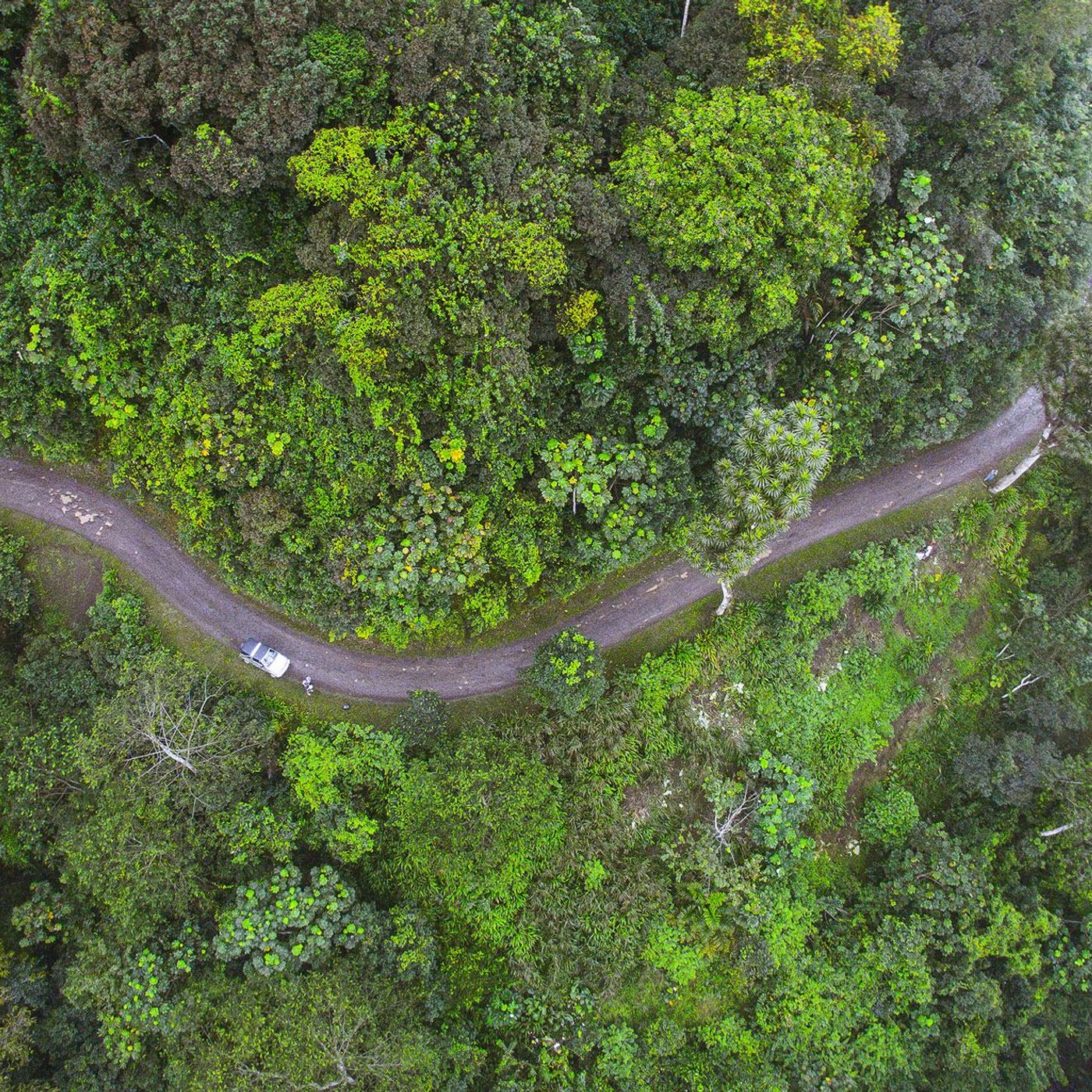 Na ONU, São Tomé e Príncipe exige justiça climática em vez de caridade