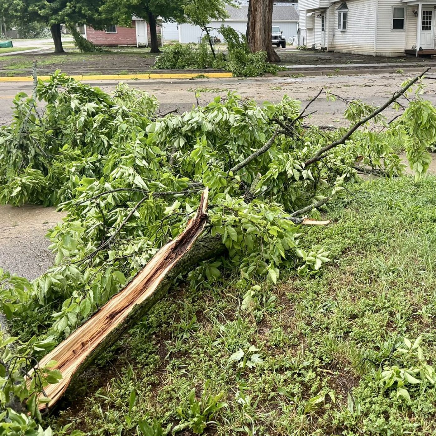 Tornado watch issued for Northern Illinois, Illinois Valley until 11 p.m. episode artwork
