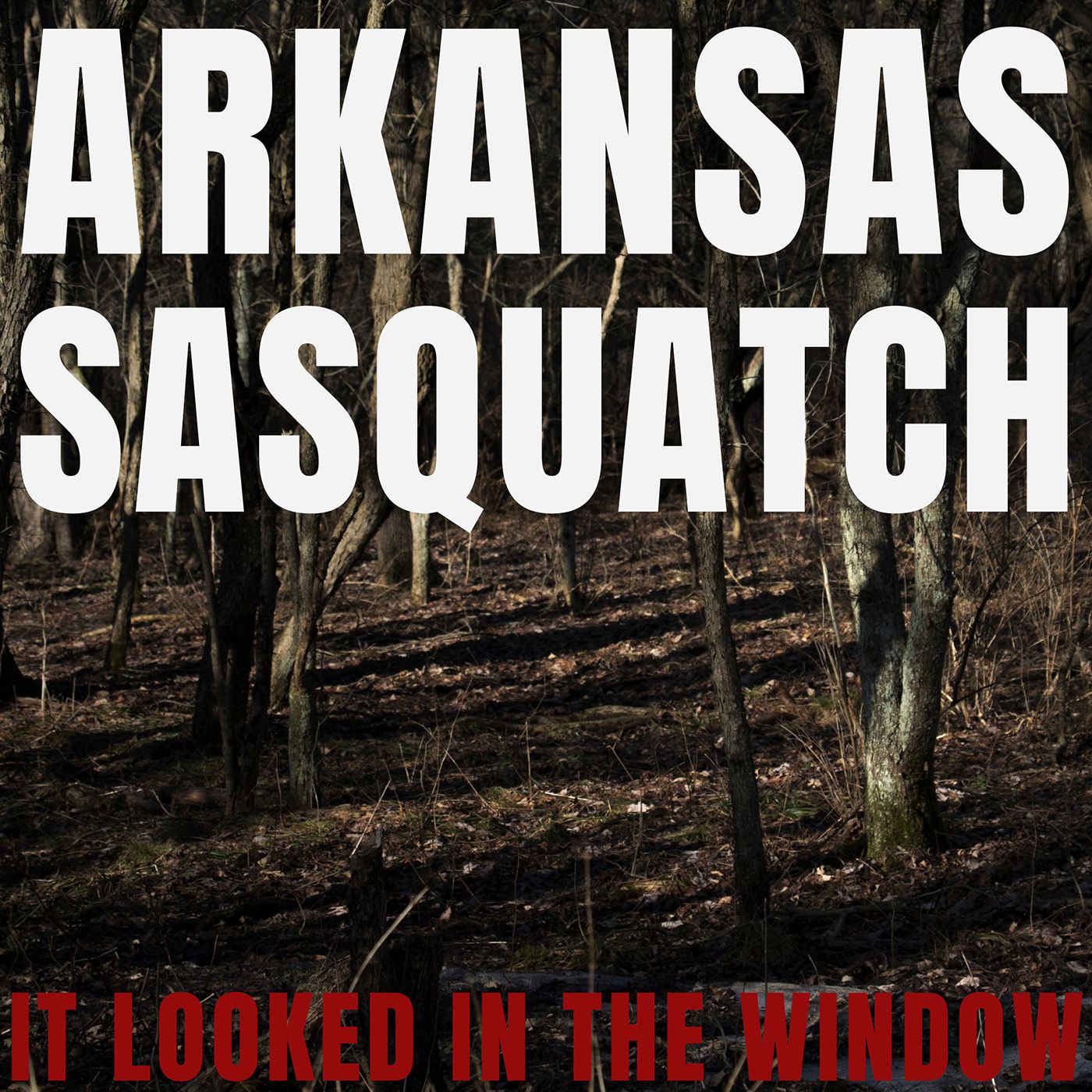 Episode Logo