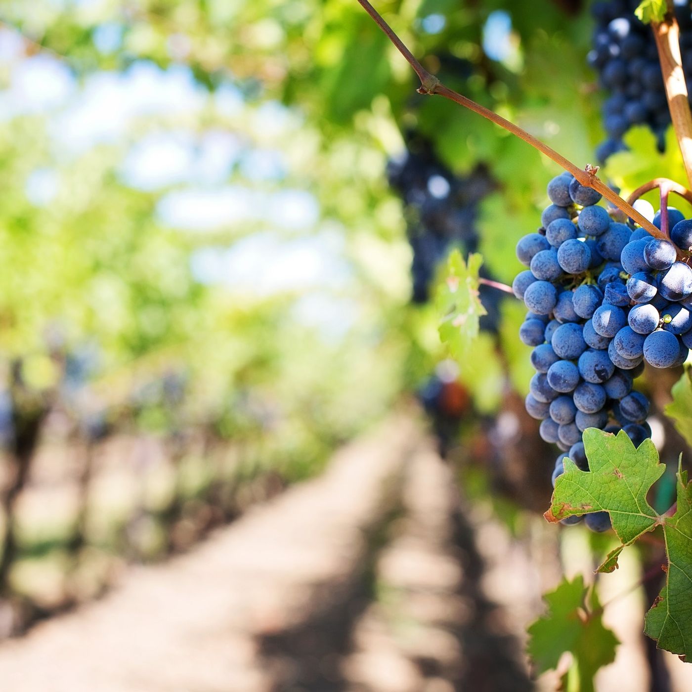 In Franciacorta tra vigneti e borghi insoliti