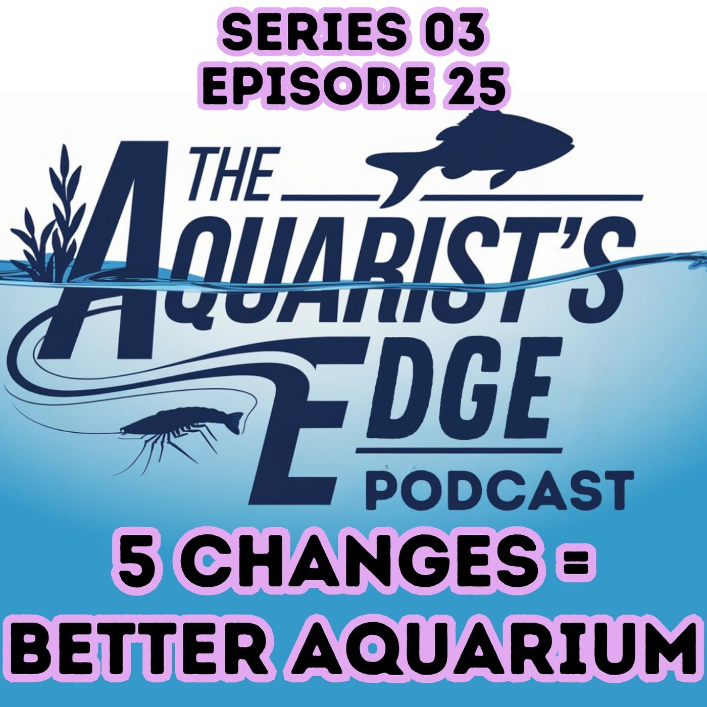 5 Simple Changes For A Healthier Freshwater Aquarium