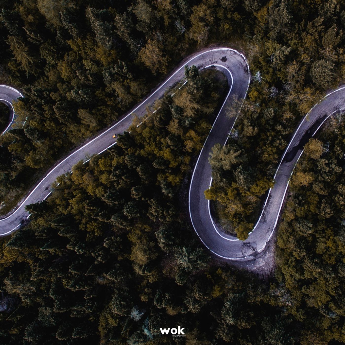 L\'arte del Ciclismo