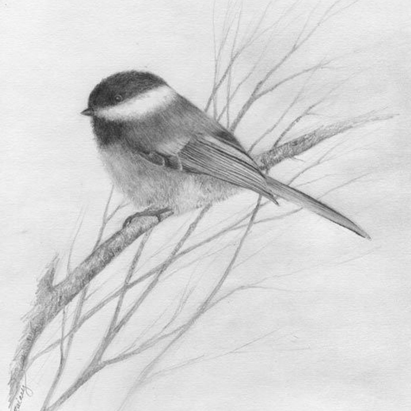 PRUEBA DE AUDIO PARA MATERIA DE MAESTRÍA