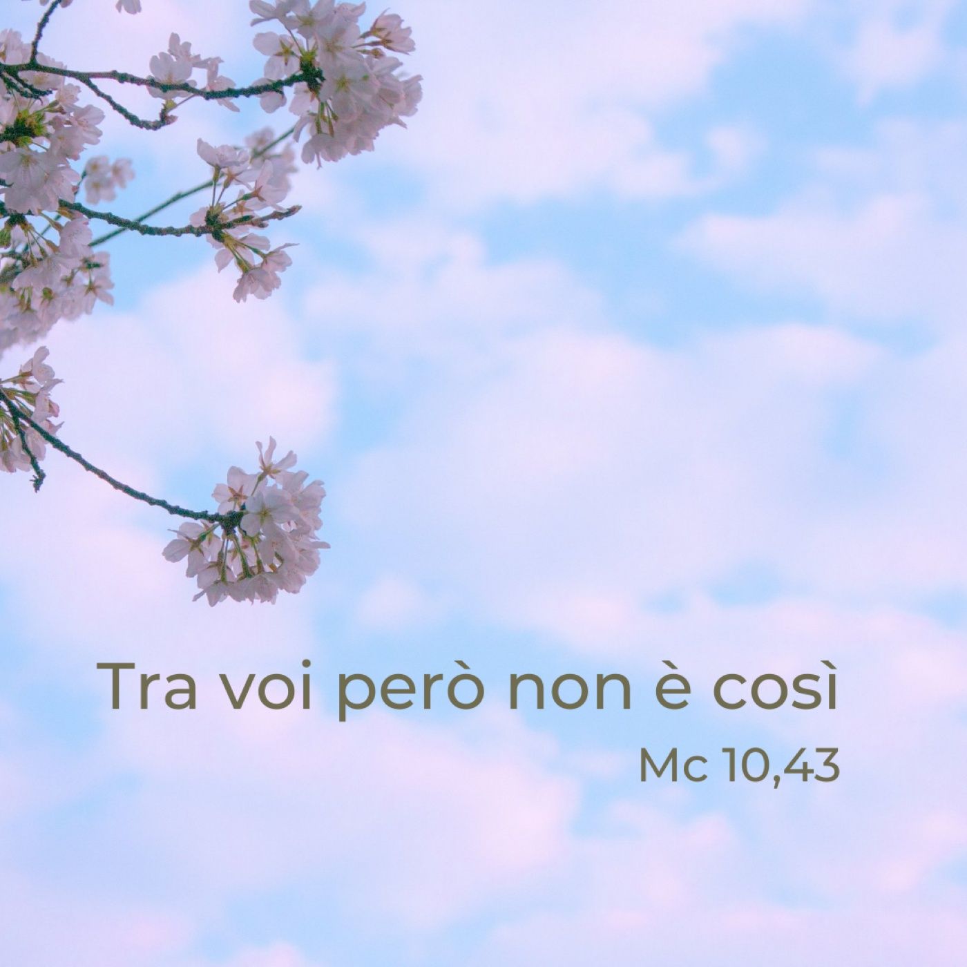 Commenti al Vangelo