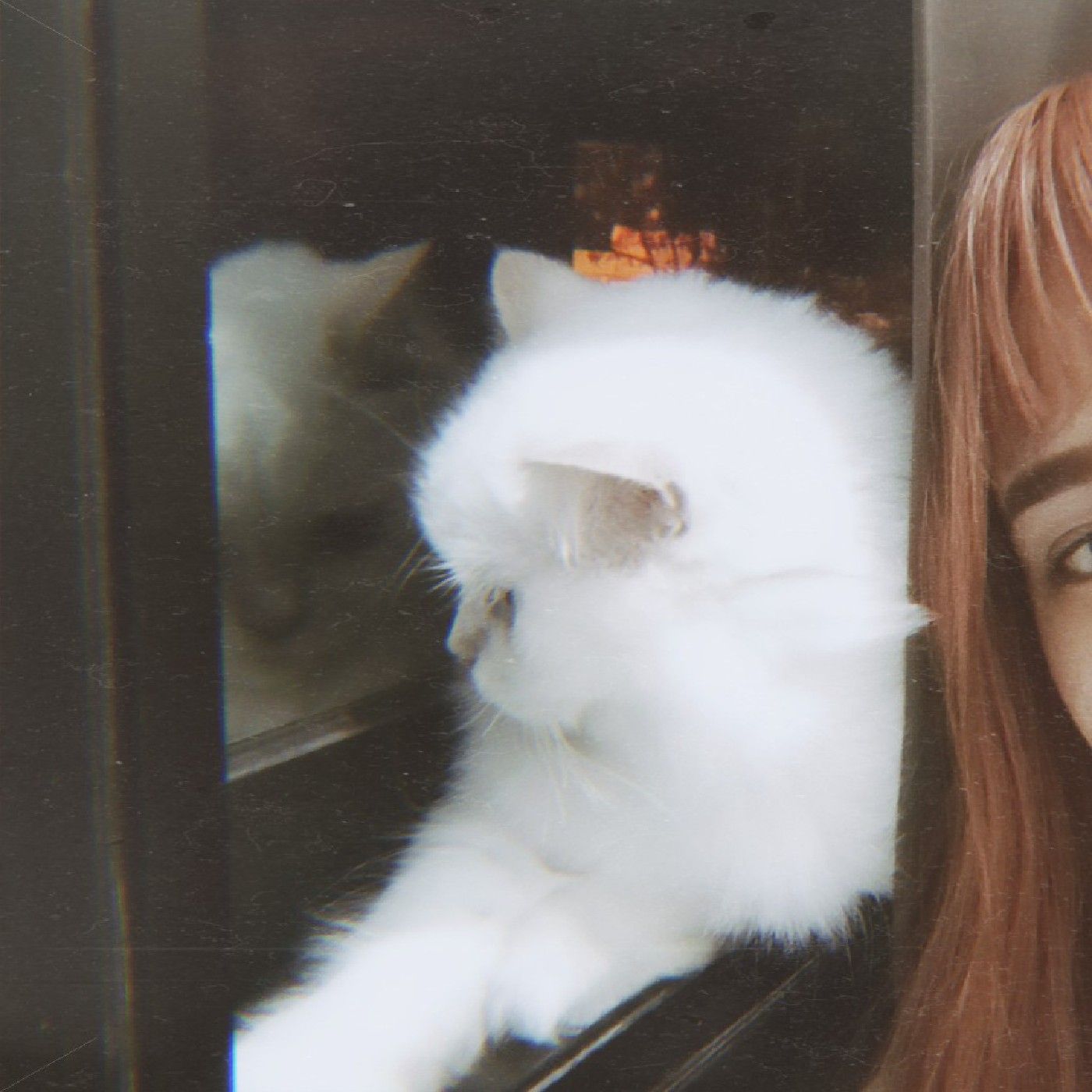 to whoever is listening, from pporshhh