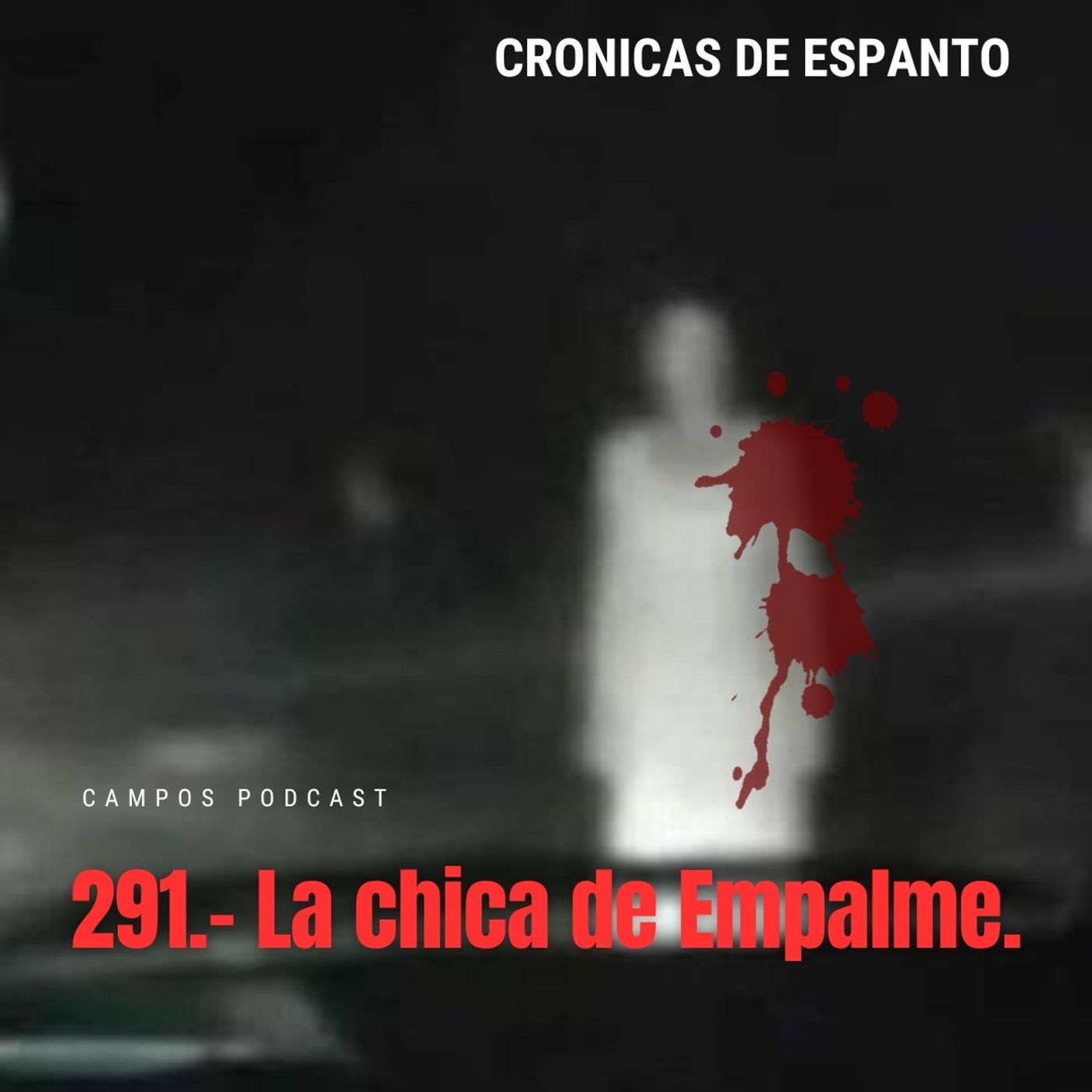 291.- La chica de Empalme.