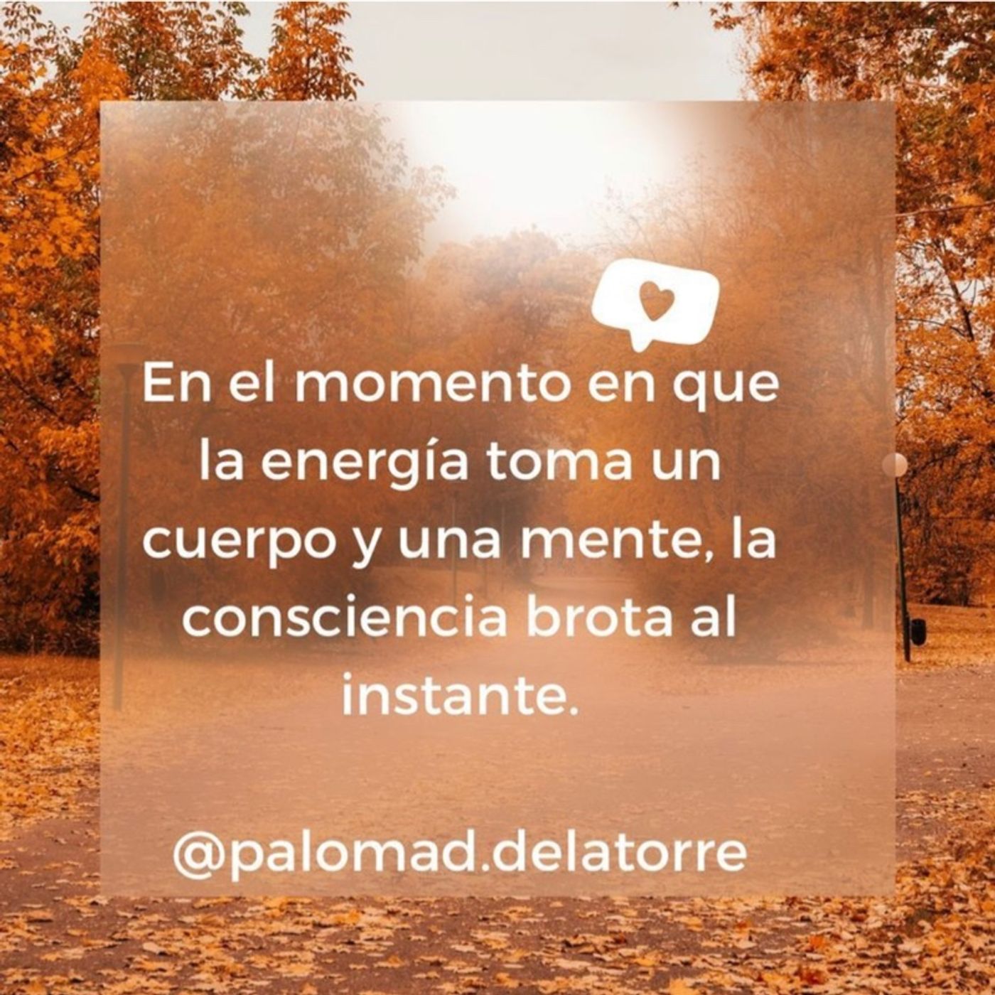 Entrena Tu Mente 4 el Éxito
