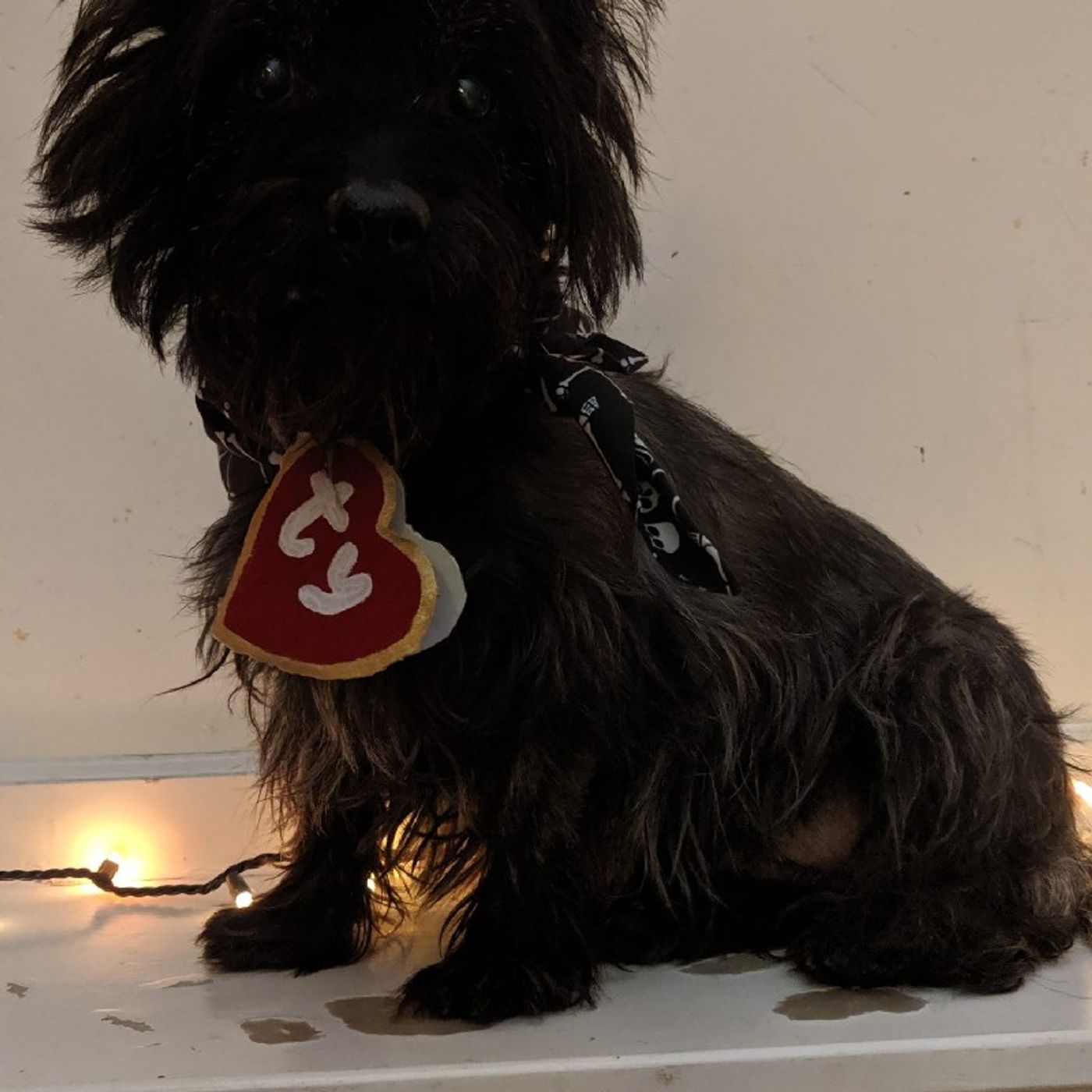 Episode 53 - Synchronicity Episode 53 - Synchronicity