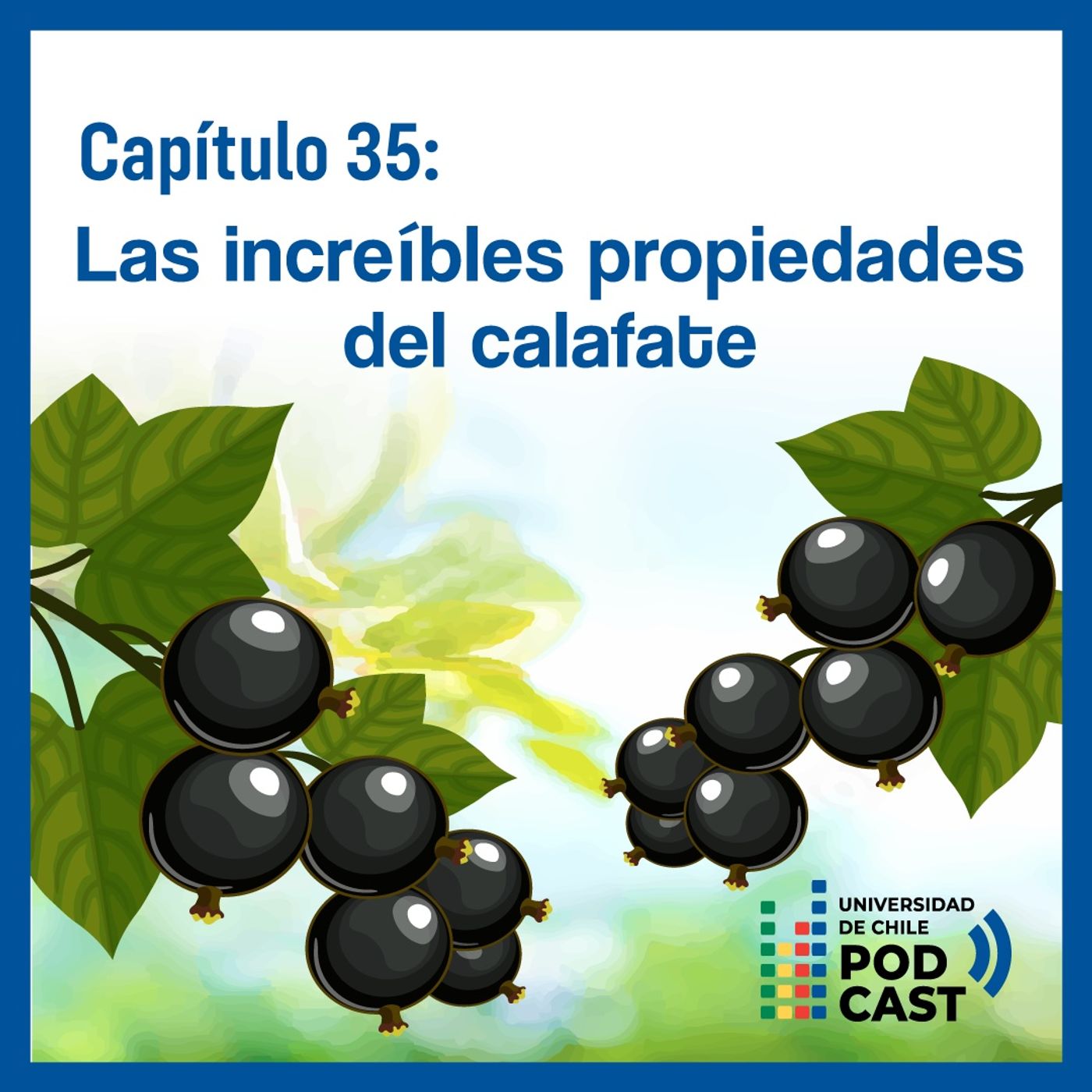 Universidad de Chile Podcast