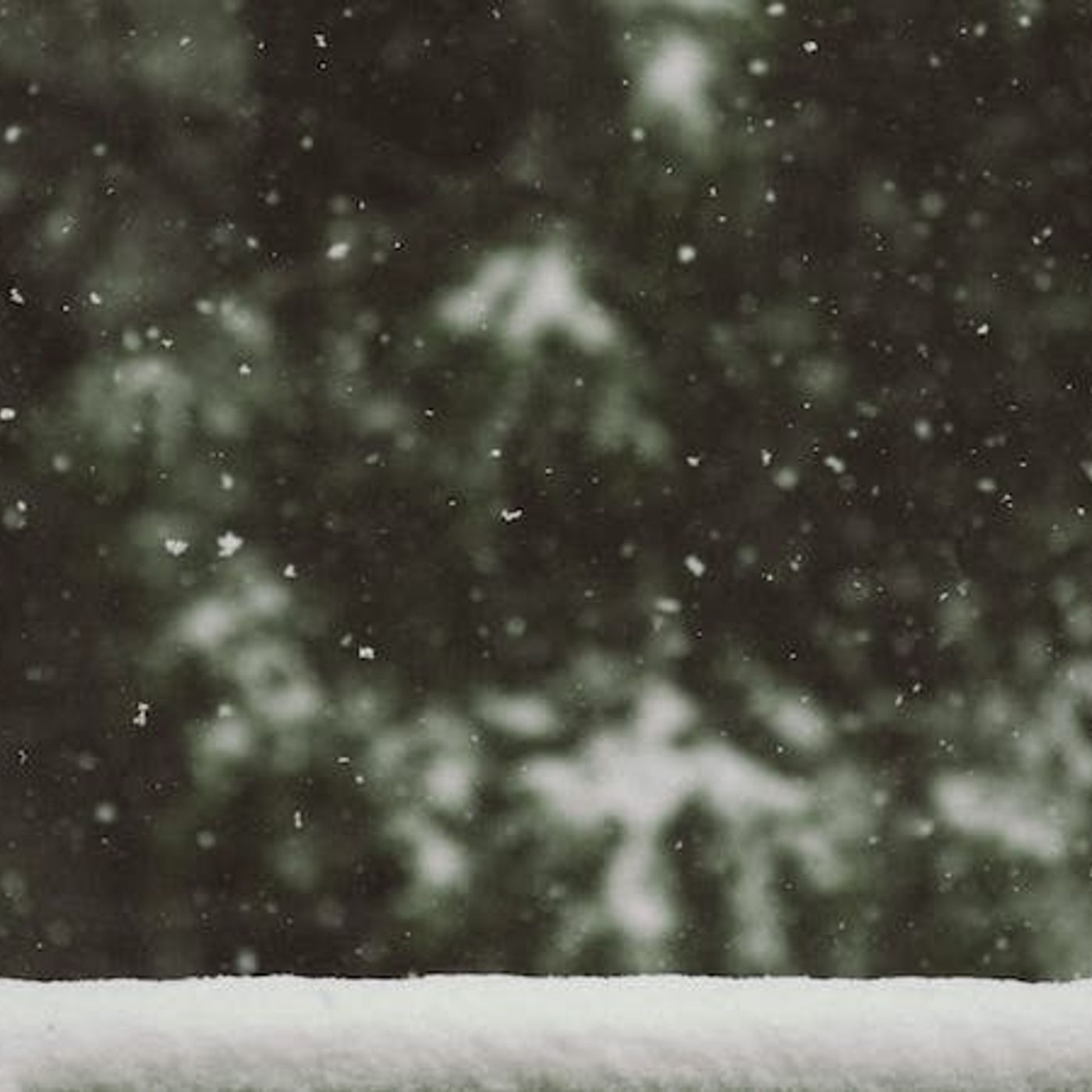 What Makes Christmas So Controversial?