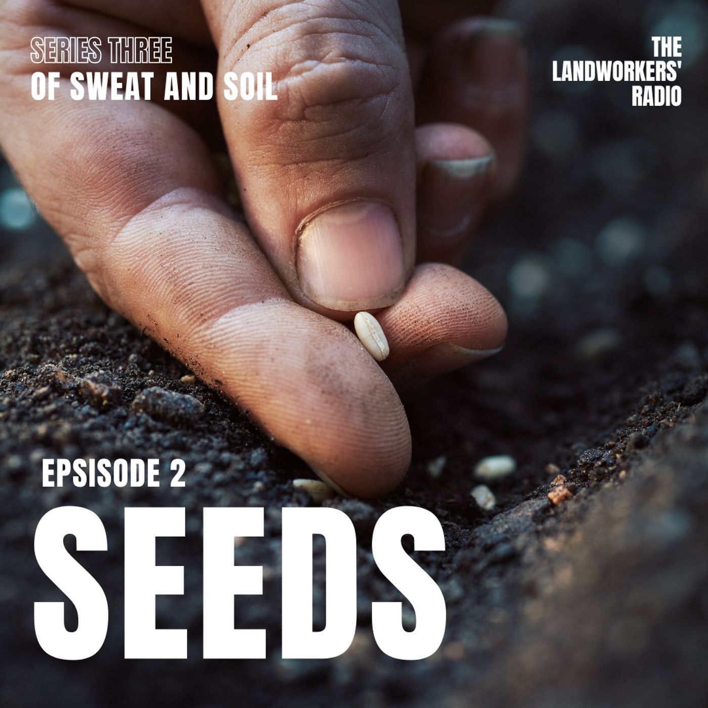 Seeds: Of Sweat And Soil Seeds: Of Sweat And Soil