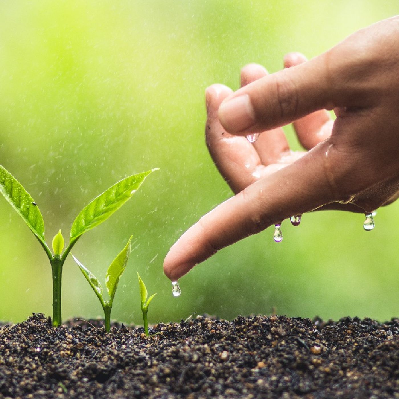 Debbie Kush\'s podcast