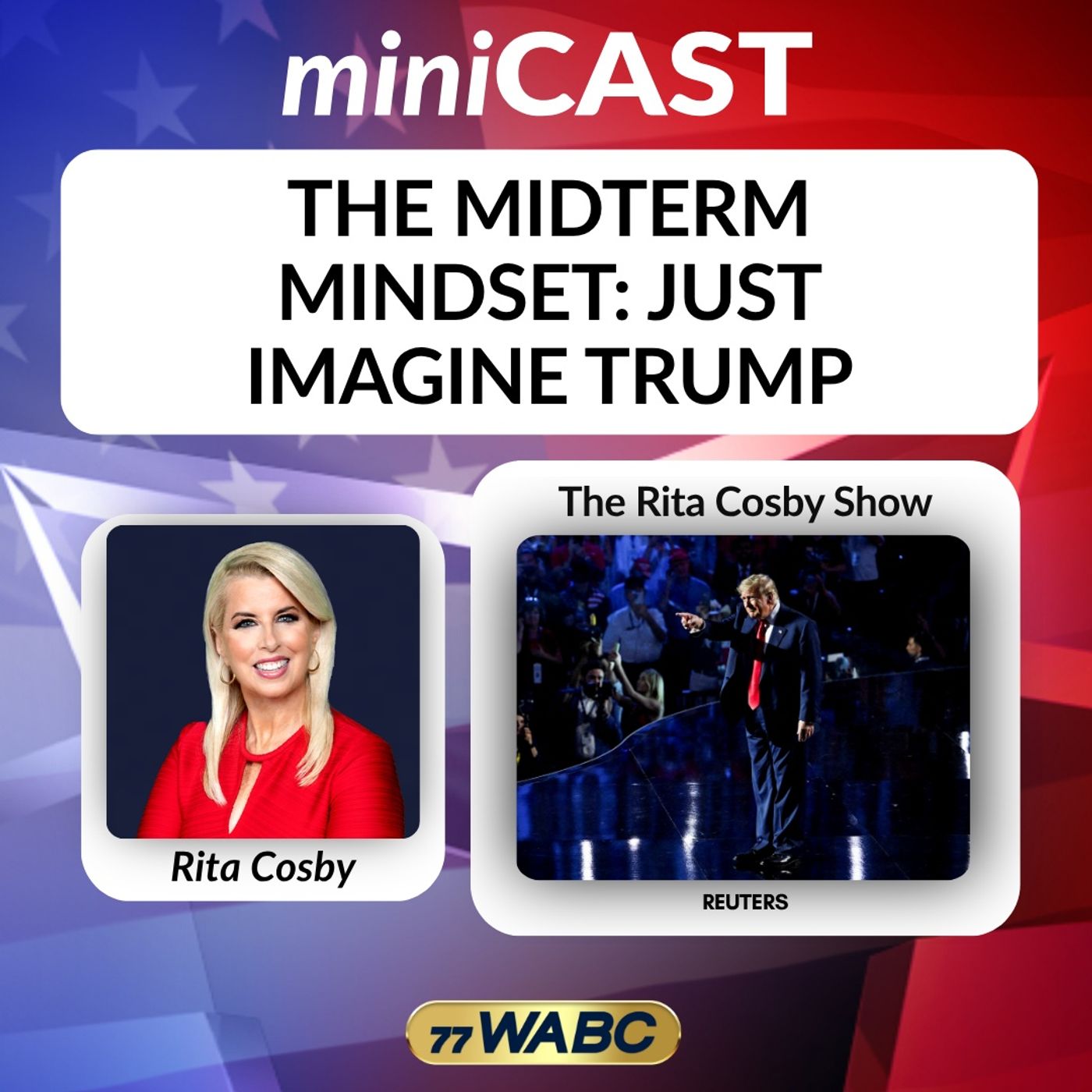 Rita Cosby: The Midterm Mindset: Just Imagine Trump episode artwork