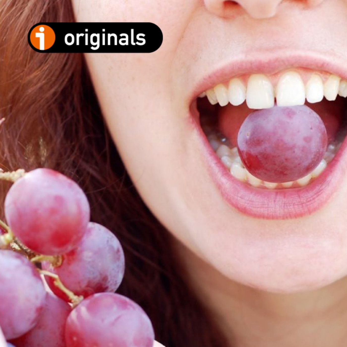 VINO PARA CAMALEONES