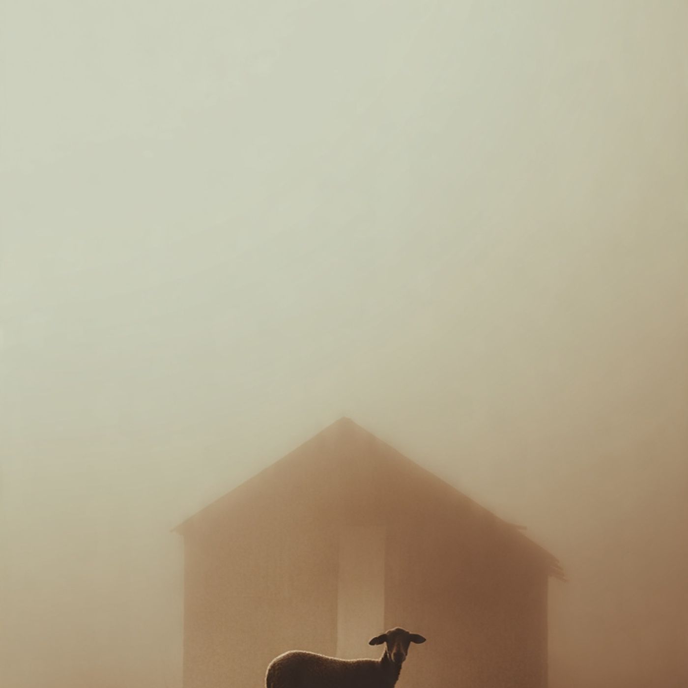The Mystery of the Animals on My Farm That Kill Their Young episode artwork