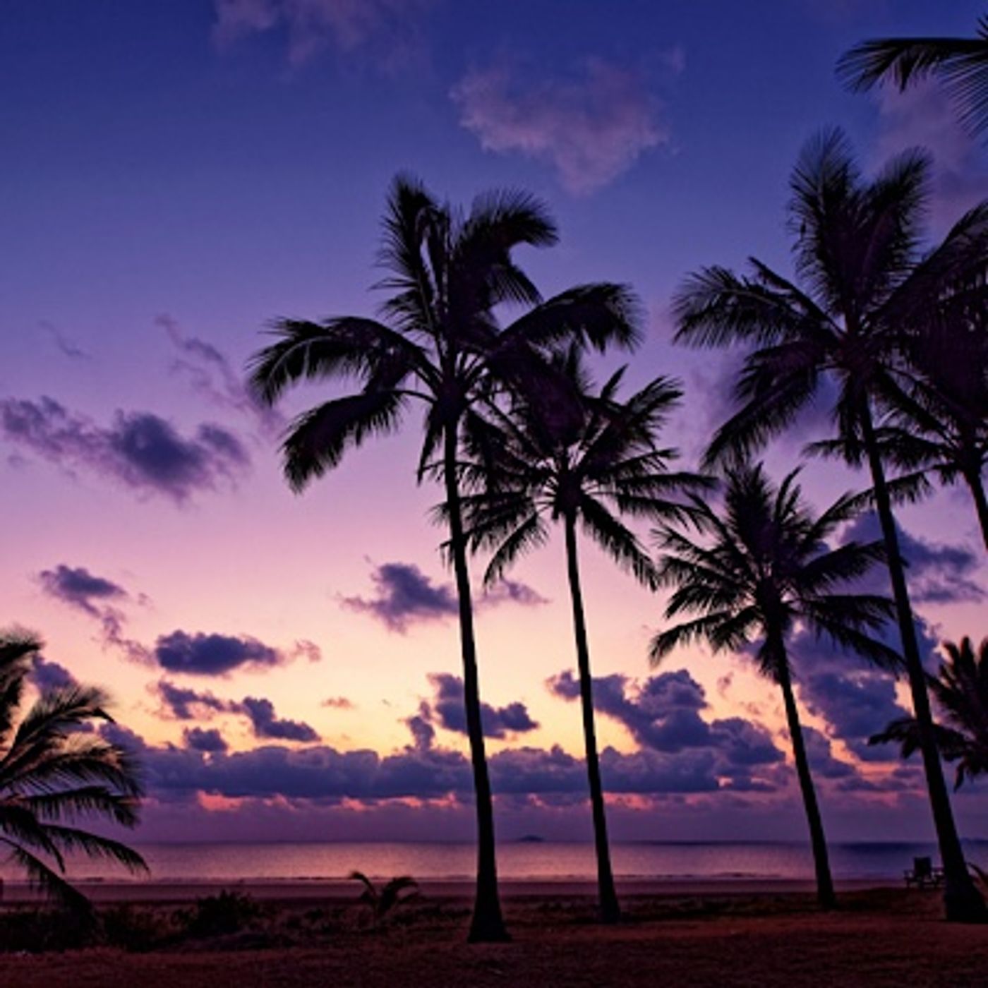 Episode 1559 - Jarvis Kingston Real Madrid Talavera Brentford Mariah The Scientist Young Thug Newcastle Fulham FIFA NBA All Star Voting KD ! Episode 1559 - Jarvis Kingston Real Madrid Talavera Brentford Mariah The Scientist Young Thug Newcastle Fulham FIFA NBA All Star Voting KD !