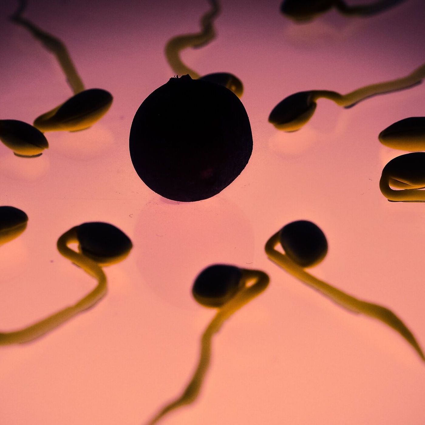 Las noticias de Herrero: Un donante de semen con una mutación genética cancerígena ha engendrado 197 niños en Europa