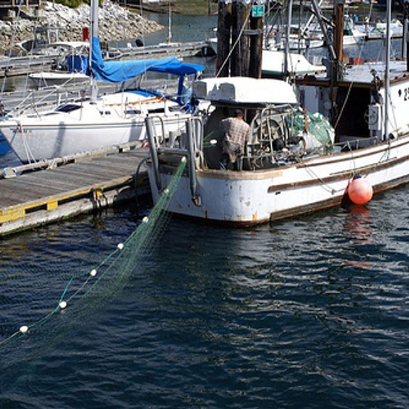 Tribes Oppose Oregon Measure to Ban Gillnetting episode artwork