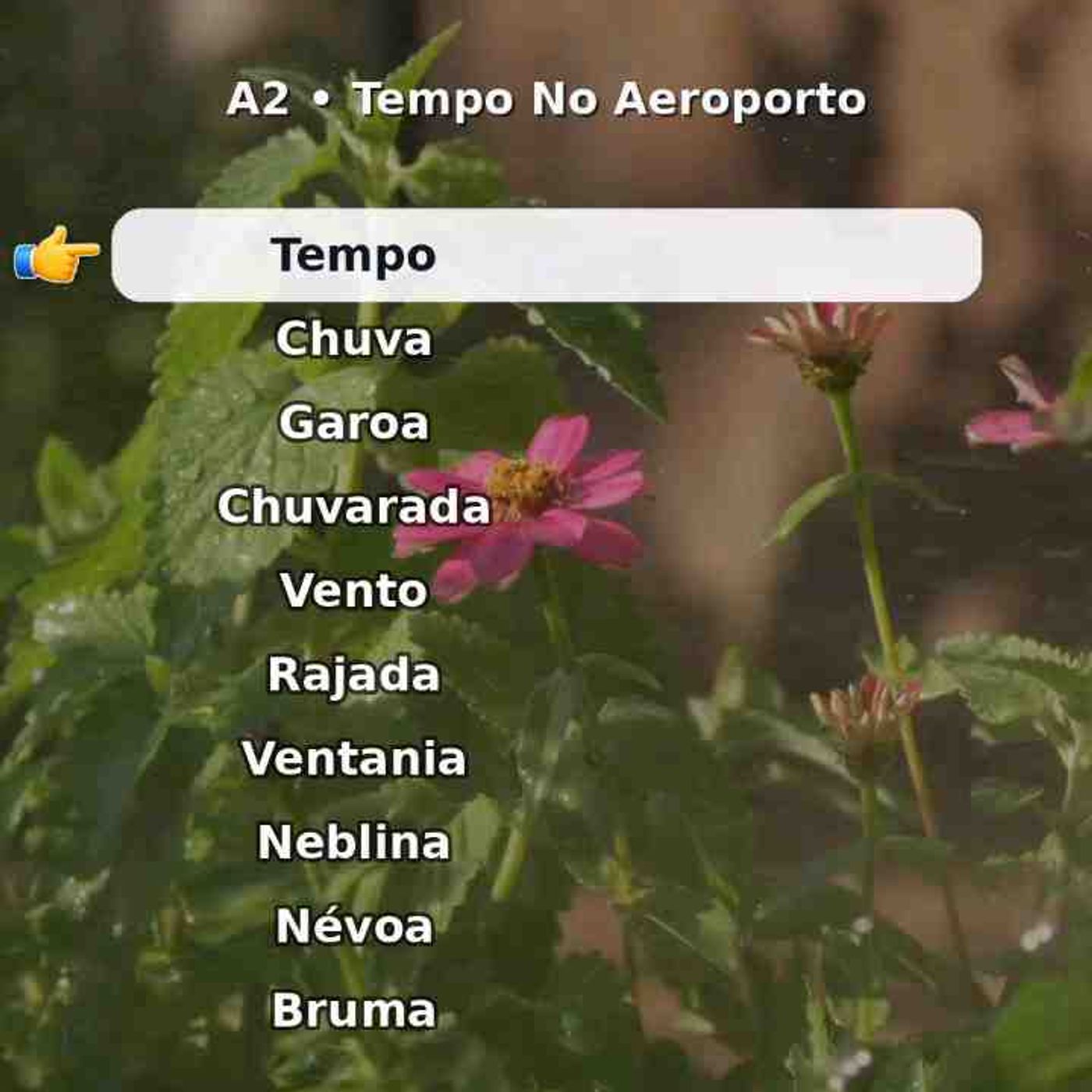 Útil em viagem_ 10 palavras sobre «tempo no aeroporto». episode artwork