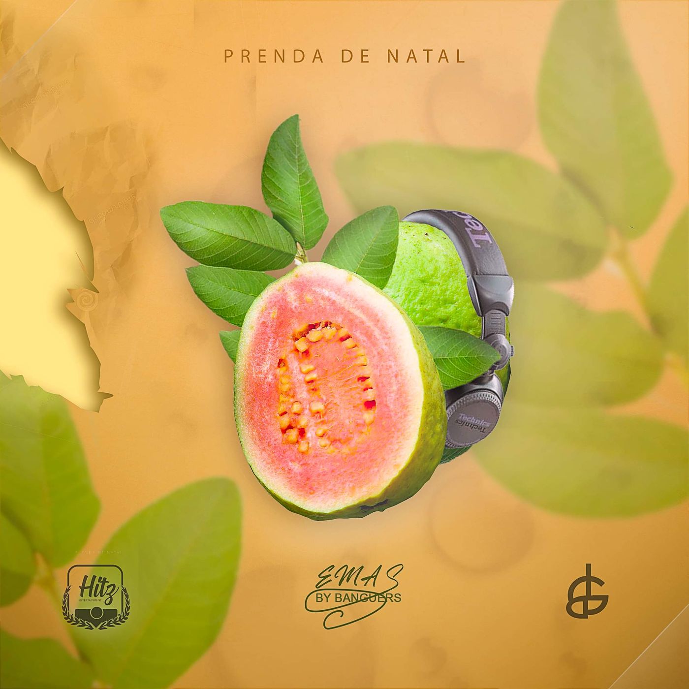 Portal Best Music-Huila