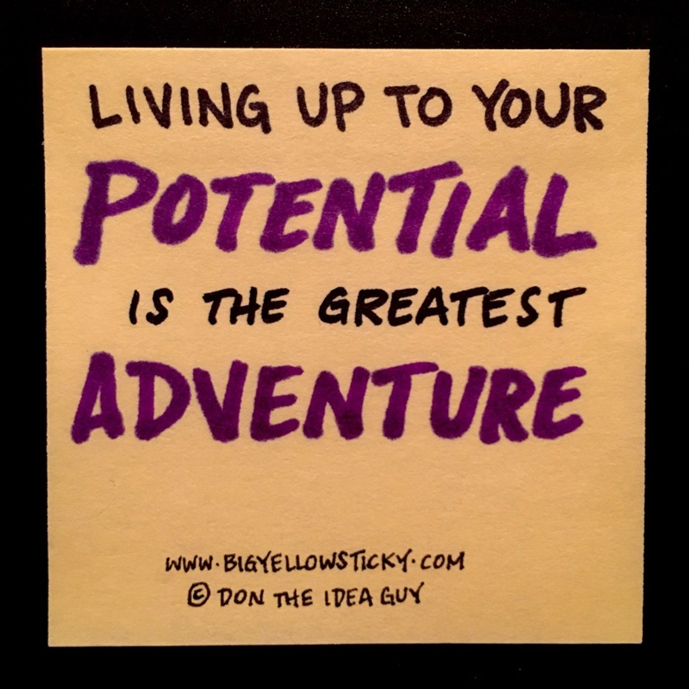 Potential Adventure : BYS 304