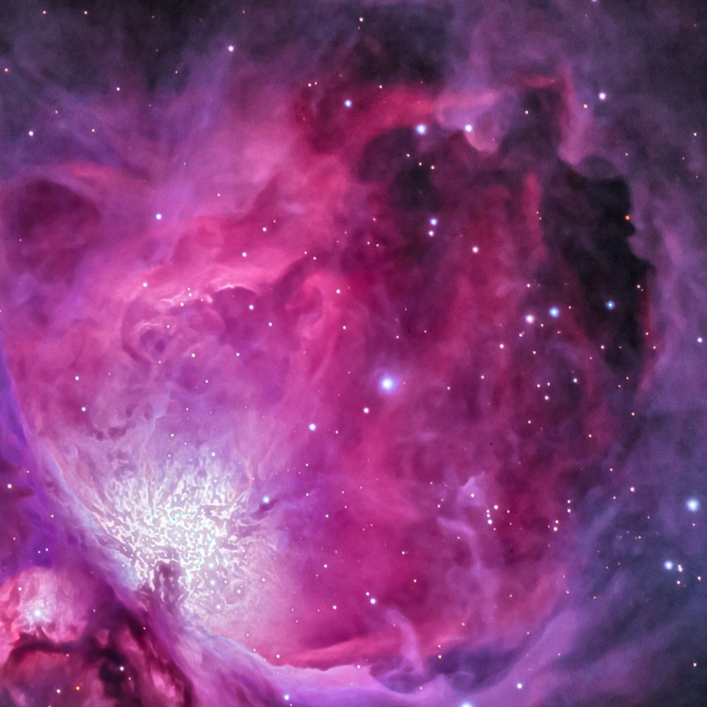 Una cena spaziale, il professor Melioli: «Saper ottimizzare le risorse» episode artwork
