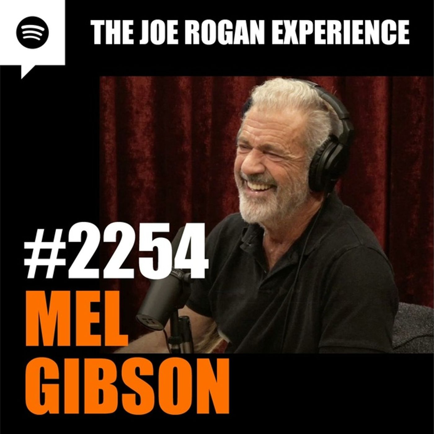 2254 - Mel Gibson - The Joe Rogan Experience | episode artwork