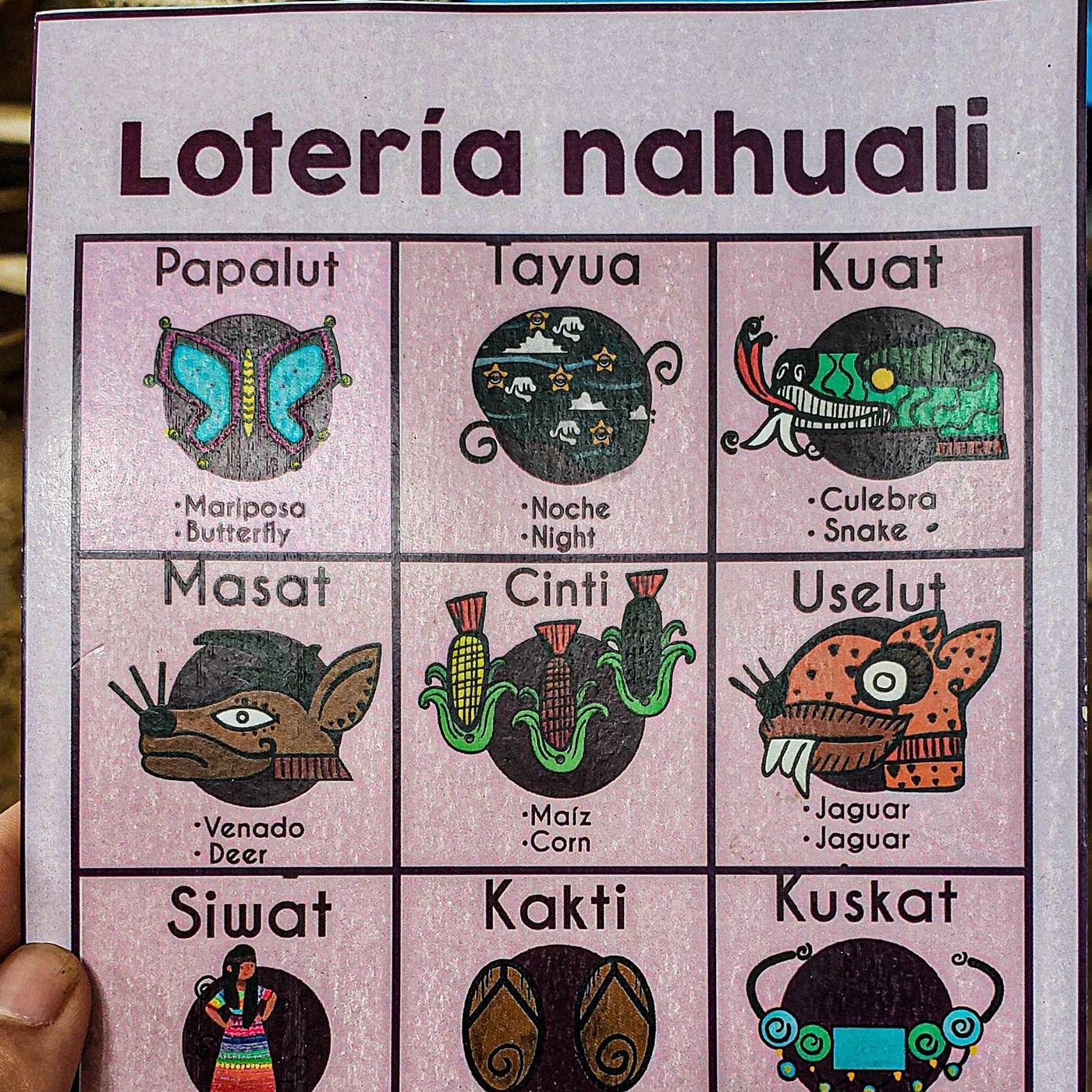 ¿Cómo se dicen los nombres de los animales en náhuatl? Parte 3