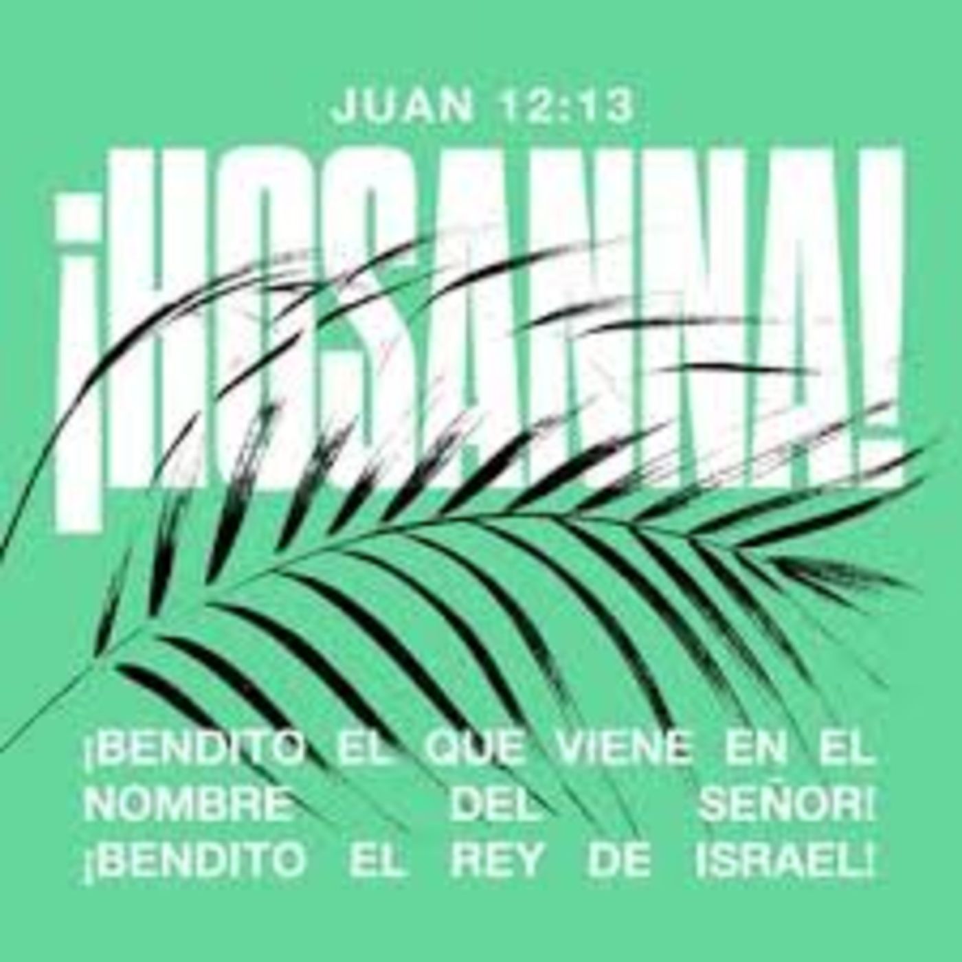 Proyecto hay vida en Jesús
